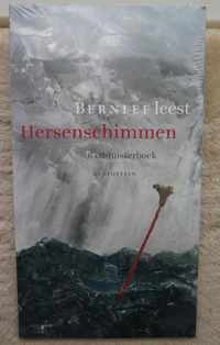 Hersenschimmen 6 Cd Luisterboek