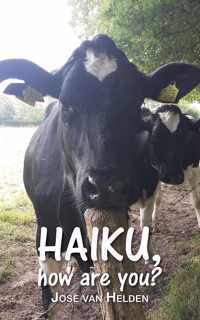 Haiku, how are you?