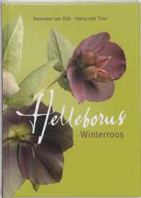 Helleborus