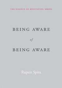 Being Aware of Being Aware