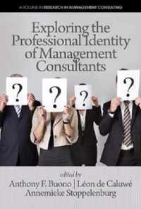 Exploring the Professional Identity of Management Consultants