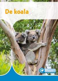 De koala - Ditte Merle - Hardcover (9789464391091)