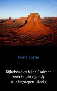 Bijbelstudies bij de Psalmen voor huiskringen & studiegroepen - deel 2