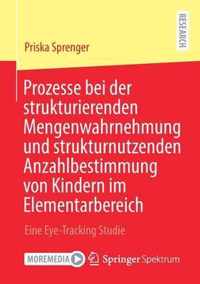 Prozesse Bei Der Strukturierenden Mengenwahrnehmung Und Strukturnutzenden Anzahlbestimmung Von Kindern Im Elementarbereich