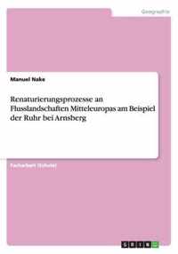 Renaturierungsprozesse an Flusslandschaften Mitteleuropas am Beispiel der Ruhr bei Arnsberg