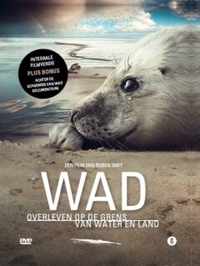 Wad