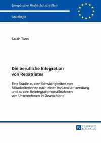 Die berufliche Integration von Repatriates