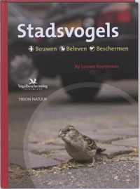 Stadsvogels