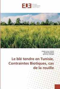 Le ble tendre en Tunisie, Contraintes Biotiques, cas de la rouille