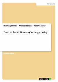 Boon or bane? Germany's energy policy