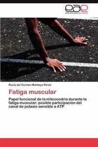 Fatiga muscular