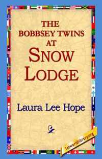 The Bobbsey Twins at Snow Lodge