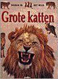 Grote Katten