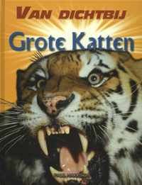 Van dichtbij  -   Grote katten