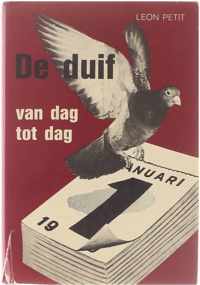 De duif van dag tot dag