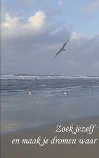 Zoek jezelf en maak je dromen waar - Jet Bidlot - Paperback (9789461931429)