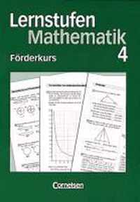Lernstufen Mathematik 8. Förderkurs 4