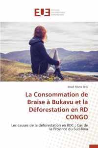 La Consommation de Braise A Bukavu Et La Deforestation En Rd Congo