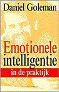 Emotionele Intelligentie In De Praktijk