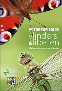 Fotografiegids Vlinders en Libellen - Bjorn van Lieshout, Chris Ruijter - Hardcover (9789079588367)