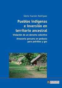 Pueblos indígenas e inversion en territorio ancestral