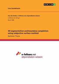 3D segmentation and boundary completion using subjective surface method