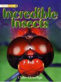 Literacy World Non-Fiction Stage 1 Incredible Insects