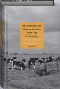 Nederlandse en Vlaamse literatuur vanaf 1880 in 200 essays