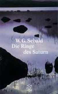 Die Ringe DES Saturn