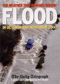 Flood