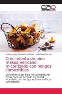 Crecimiento de pino mesoamericano micorrizado con hongos comestibles