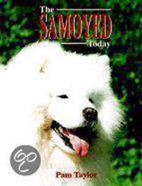 The Samoyed Today