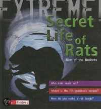 Secret Life of Rats