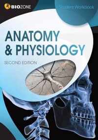 Anatomy & Physiology