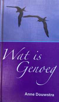 Wat is genoeg