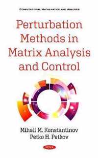 Perturbation Methods in Matrix Analysis and Control