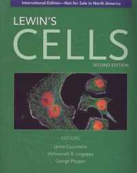 Lewin's Cells