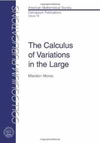 The Calculus of Variations in the Large