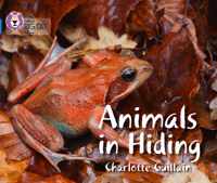 Animals in Hiding