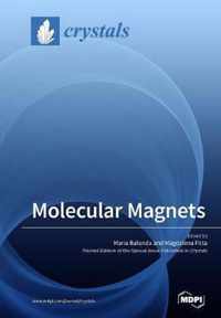 Molecular Magnets