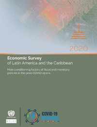 Economic survey of Latin America and the Caribbean 2020