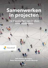 Samenwerken in projecten. - André Meester - Paperback (9789001749828)