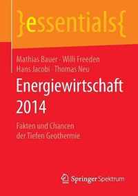 Energiewirtschaft 2014