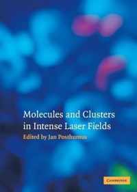 Molecules and Clusters in Intense Laser Fields