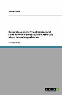 Das professionelle Tripelmandat und seine Funktion in der Sozialen Arbeit als Menschenrechtsprofession