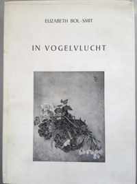 In vogelvlucht