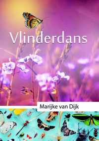 Vlinderdans 3 -   Vlinderdans