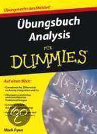 Ubungsbuch Analysis Fur Dummies