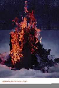 Carol Shields And The Writer-Critic