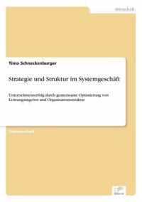 Strategie und Struktur im Systemgeschaft